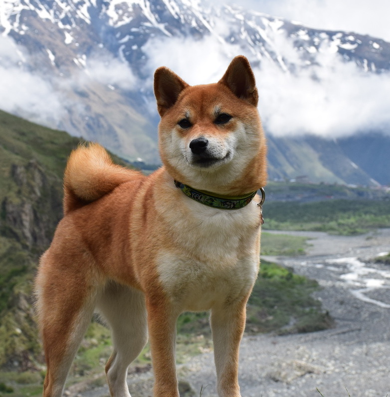 female AKATSUKI VAKIHIME 24 FEB 2014