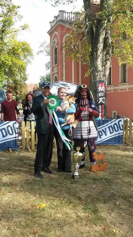 Описание изображения